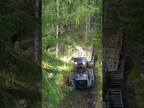 Logset 5f forwarder-new