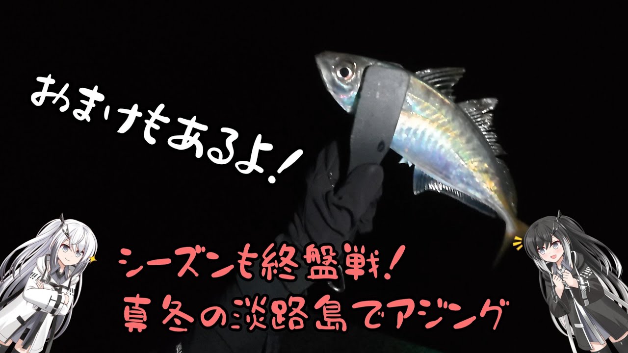 【2026年】シーズンも終盤戦！真冬の淡路島でアジング