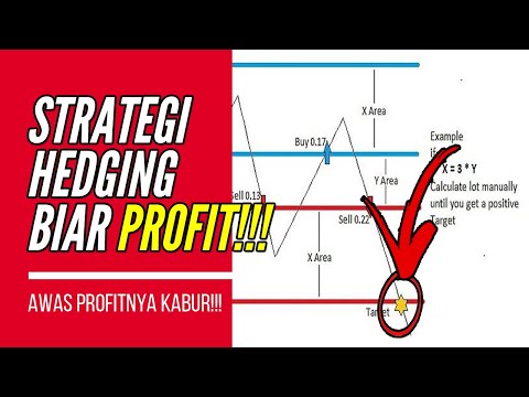 Cara Bermain Forex | Strategi Hedging Dalam Forex Trading Untuk PROFIT!!!