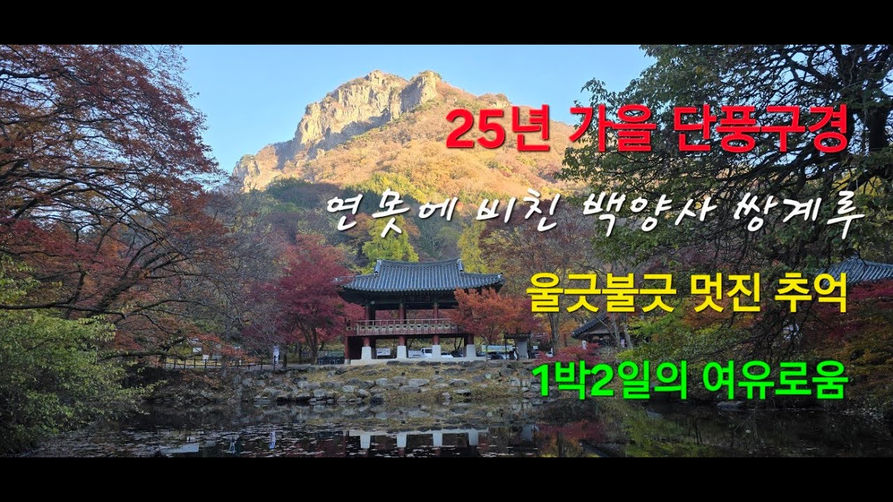 #백암산, #백양사 단풍구경, #25년 가을 단풍, #백양사 쌍계루, #단풍 구경,#1박2일 단풍 구경 - YouTube