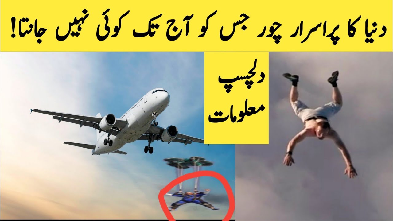 malomati video || purisrar chor ki kahani || معلوماتی ویڈیو || malomat ki dunya