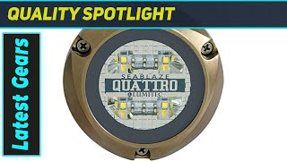 Lumitec SeaBlaze Quattro: BEST Underwater Boat Light?