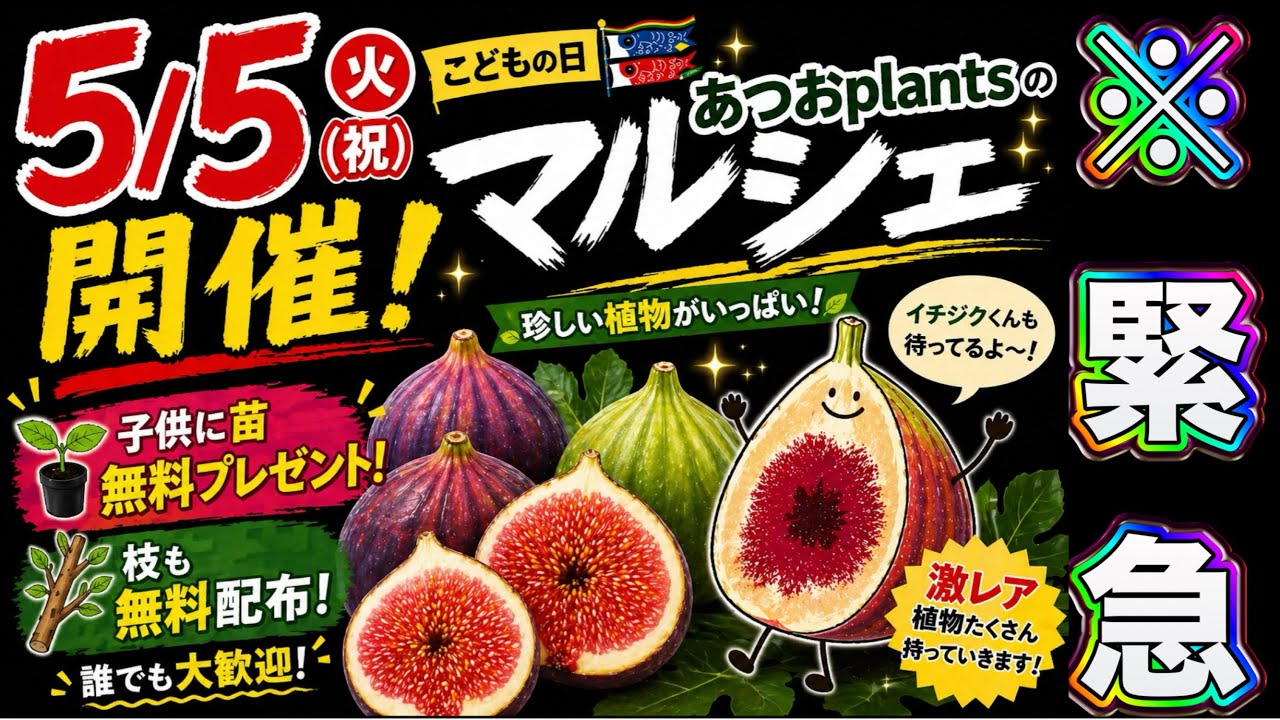 Announcement] Fig seedlings and scions will be given away for free