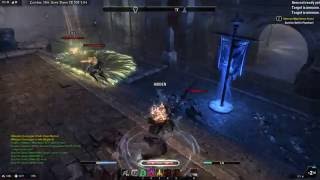 Elder Scrolls  Online, IC, bug or exploit, invisible while attacking