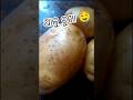 ଆଳୁ ଚୁଖା🤤alochukha❤️#shorts #shortvideo #youtubeshorts #ytshorts #trending #viralvideo#food #cooking