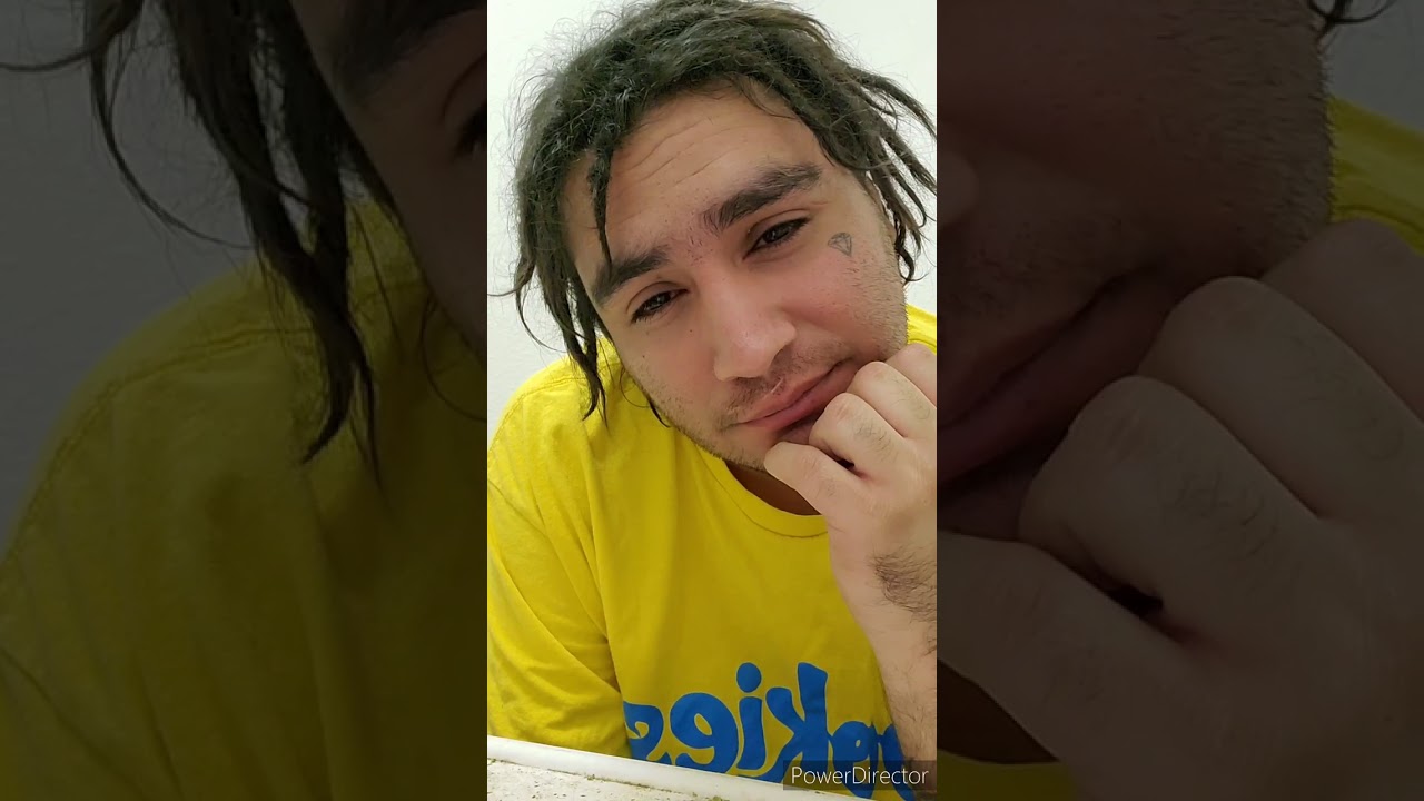 pacific stone- blue dream sativa review