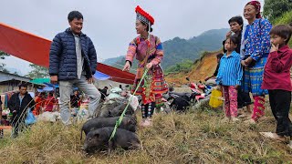 Go to the market to buy pigs, make three-color sticky rice, and grill meat to eat. Anh Hmong