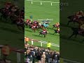 We never tire of watching this! How did What's Up Boys win this race at the Cheltenham Festival?! 🤯