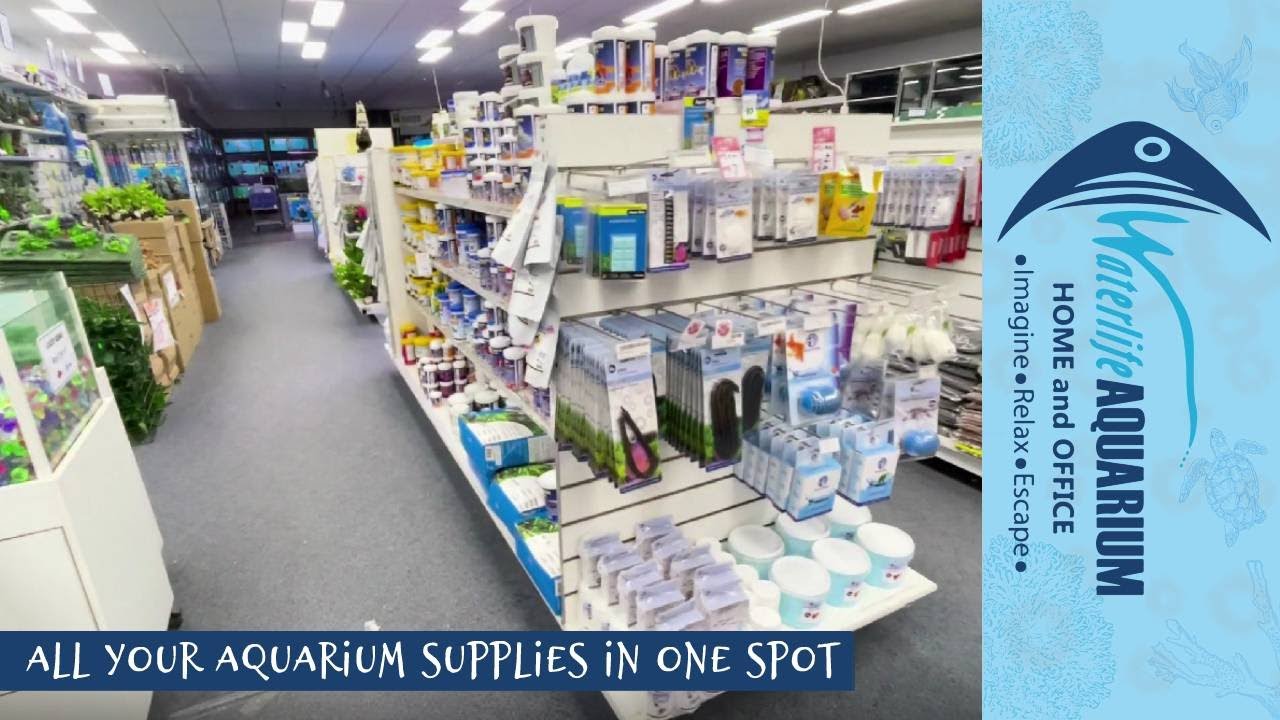 Aquarium Supplies Melbourne Waterlife Aquarium YouTube