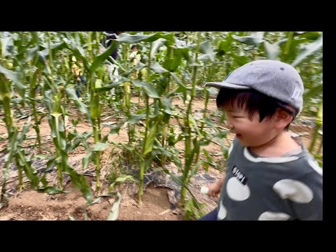りっくん日記 - YouTube