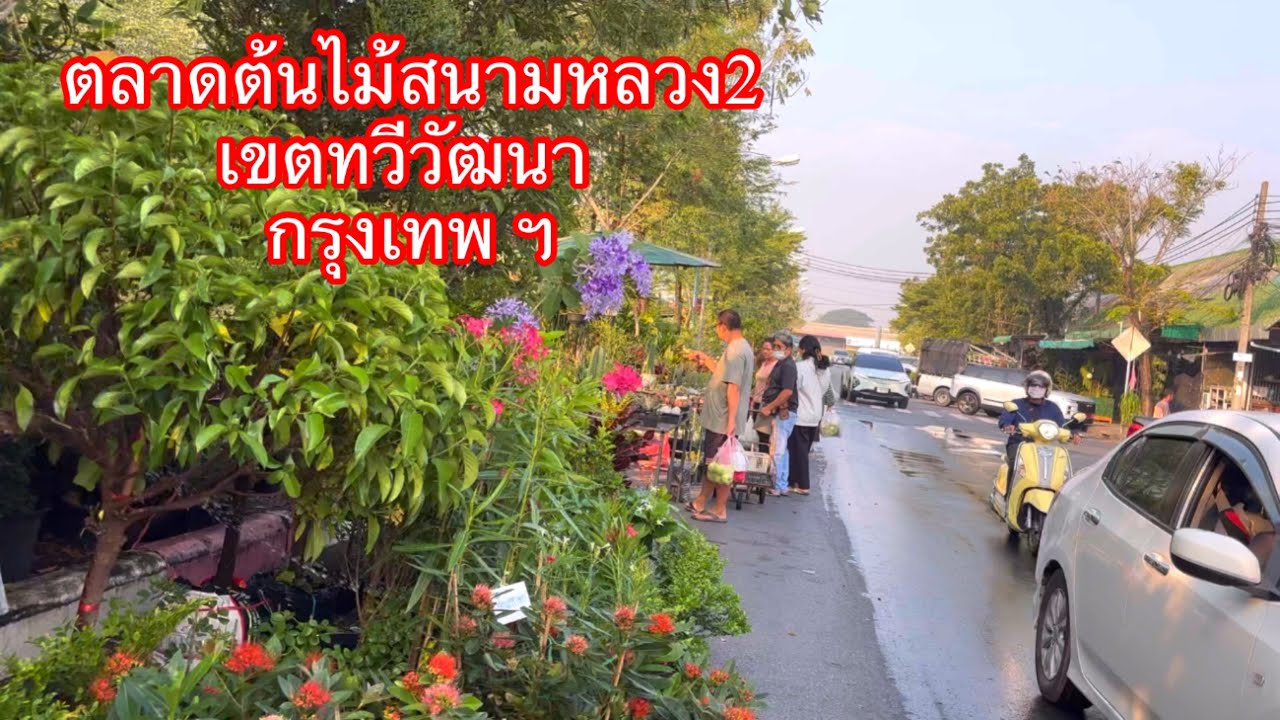 ตลาดต้นไม้สนามหลวง2เขตทวีวัฒนา กรุงเทพฯ
