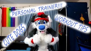 Fursuit Skit Your New Personal Trainer