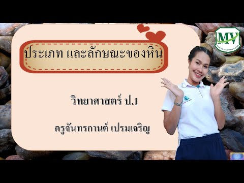 ประเภทและลักษณะของหิน | วิทยาศาสตร์ ป.1