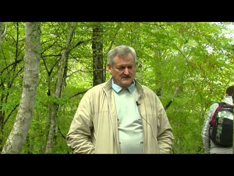 2014, Встреча у дольменов с А.Саврасовым, часть 4