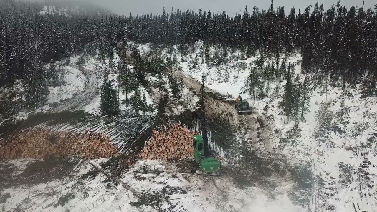 Logging in bc