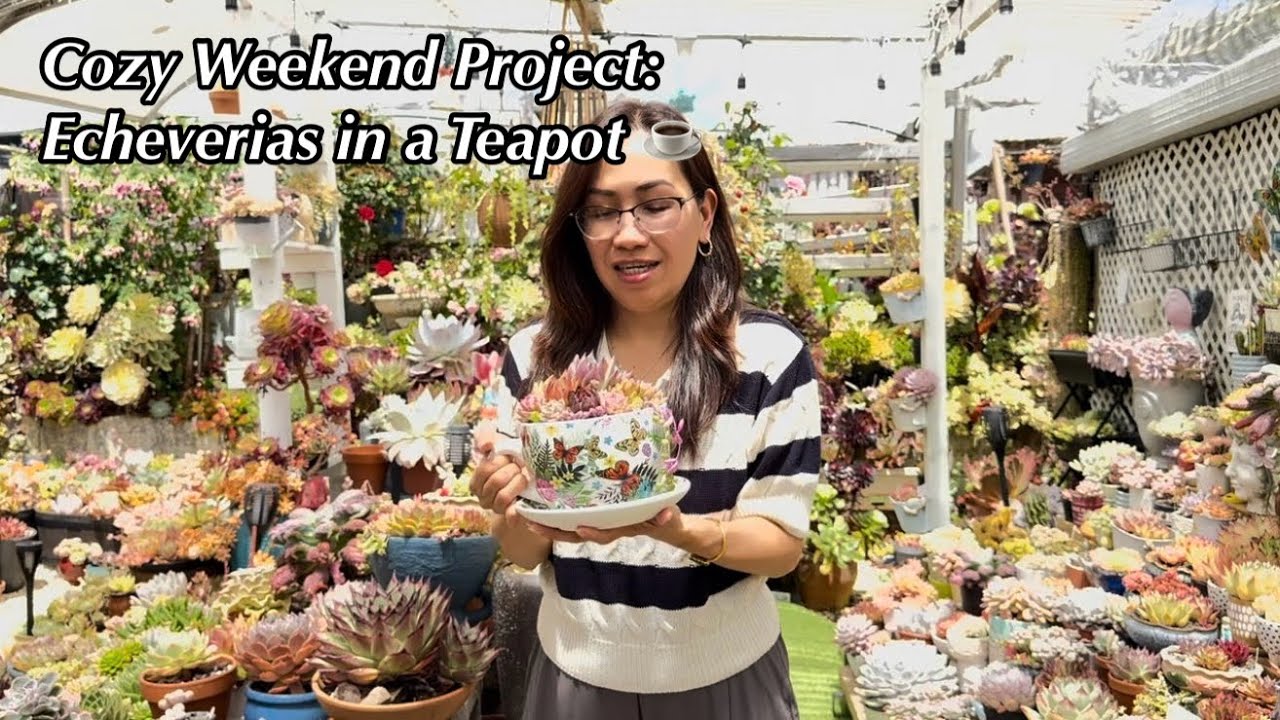 From Teapot to Succulent Beauty | Weekend Planting Vlog