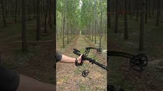 AR16a 40-Shot Semi-Automatic Compound Bow. #fypシ #battlefalcon #fyp #archery #sports #outdoors