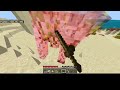 25:07 Coop Speedrun (1.21 RSG)