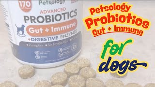 BEST Probiotic for Dogs in 2025 | Gut Health + Immune Support! | Top Rated Chewable Supplement