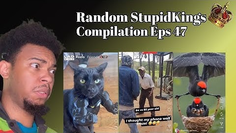 Random StupidKings👑- Eps 47 