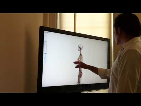 Kinect-driven interface to human model (from chrome experiments)