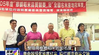 105 0721 推廣高樹米 高樹鄉稻米品質競賽今登場