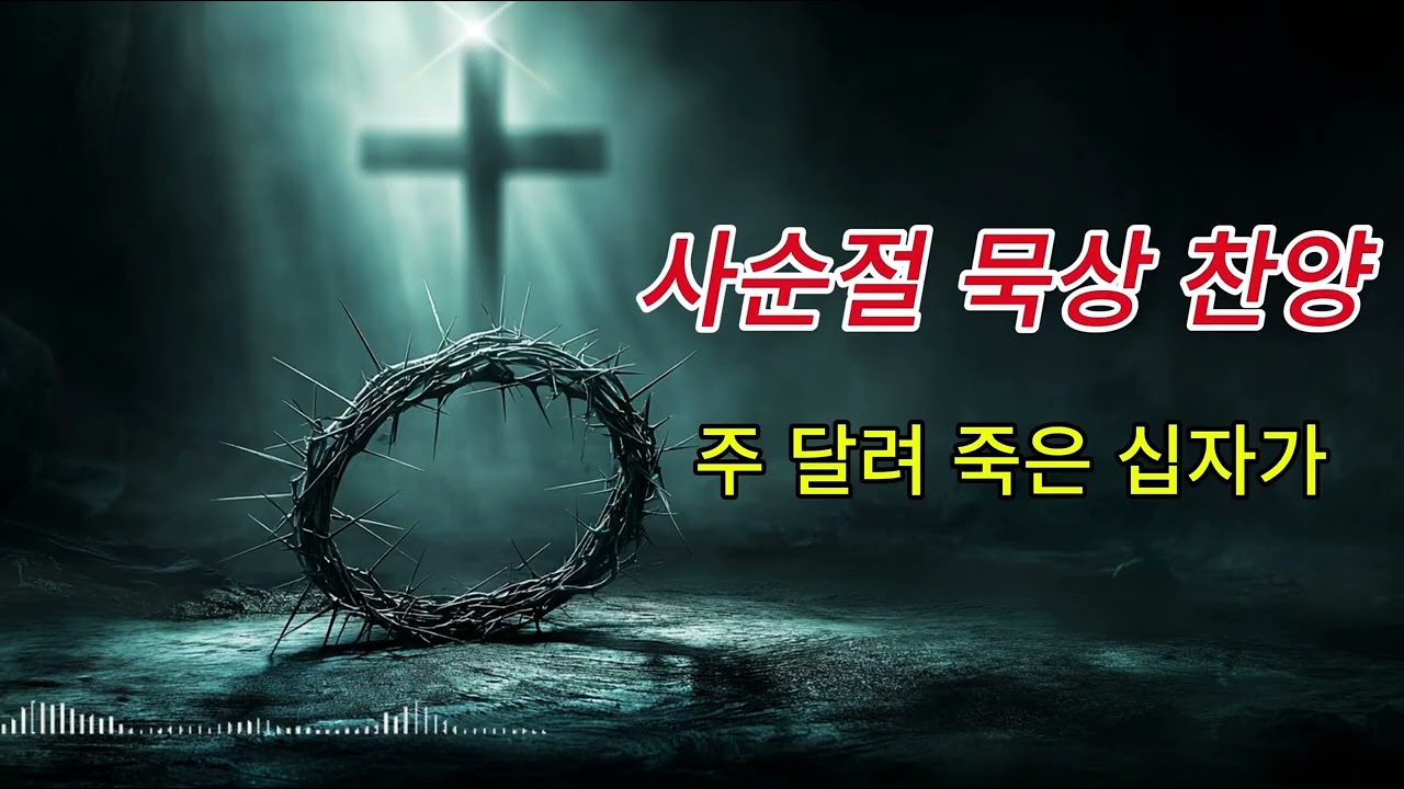 사순절 묵상 찬양 1시간 | 주 달려 죽은 십자가 | 고난주간 기도 음악