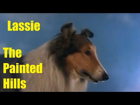 Lassie The Painted Hills 1951 Western Drama Classic still