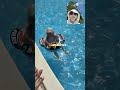 minivlog:夏の始まり🏊♂️屋外プールで遊び尽くした休日🔥 #vlog