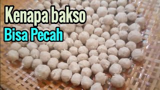 Cara merebus bakso sapi biar lebih kenyal