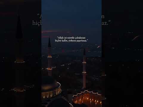 İyi niyetle çabalayan... | #shorts