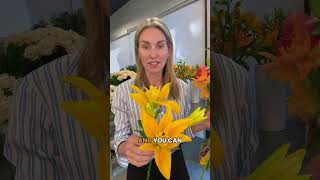 New Flower Alert: Butterfly Lily 🦋 The Lily You Didn’t Know You Needed