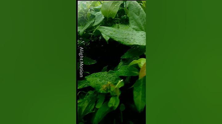 Natural video HD CV #short #natural  #youtubeshorts