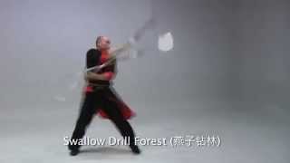 Master Yanqing Ding demonstrating 26 Movement Pudao