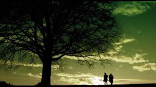 Silhouette Of People Walking - Free Stock Creative Commons Video