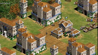 Age of Empires II: The Forgotten Empires, directo:  con Wine en Linux y con Direct X en Windows.