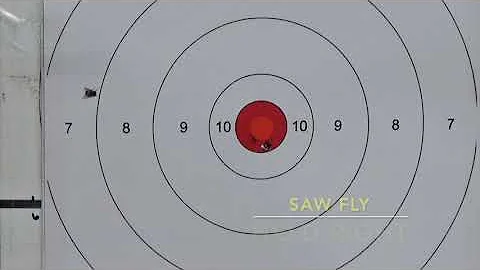 223 Remington 100-600 Yards