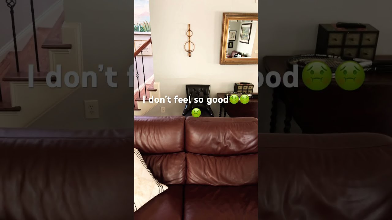  Memes Funny Helpmemakethismakesense