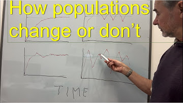 Population stability, cycles and chaos