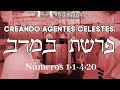 PRASHAT BAMIDBAR - CREANDO AGENTES CELESTES.