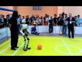 RoboCup 2011: Adult Size Final