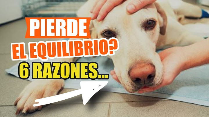 ¿POR QUÉ Mi Perro PIERDE el EQUILIBRIO? 🐶👇6 RAZONES