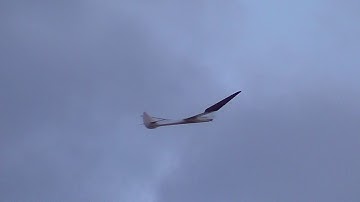 Great Planes Bird of Time - E maiden flight