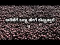 ಅಡಿಕೆಗೆ ಬಣ್ಣ ಹೇಗೆ ಕಟ್ಟುತ್ತಾರೆ// Areca colouring// Village Vlogs