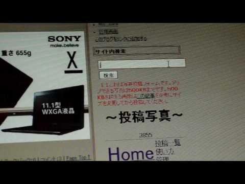 サイト内検索
