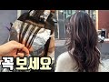 [SUB] 발레아쥬 옴브레 염색 하는법 총정리(섹션,토닝,탈색,레시피,바이올렛)