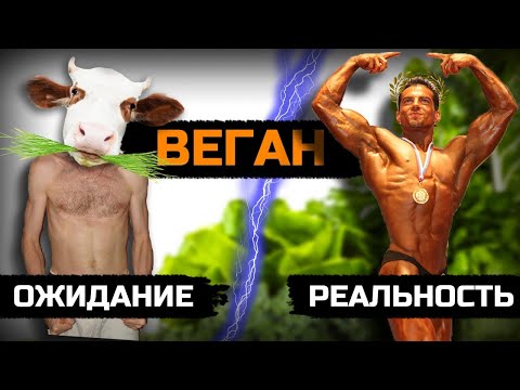 Как нас обманывают Веганы: Правда о спорте без мяса!