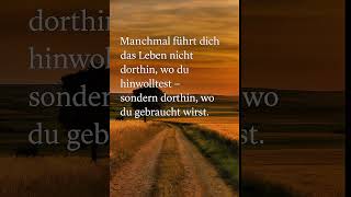 Der Weg, den das Leben wählt #zitate #sprüche #leben #hoffnung #achtsamkeit #inspiration #weisheit