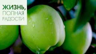 Джойс Майер: Храните своё сердце ч. 2