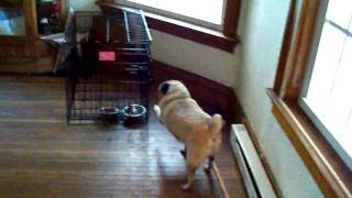 Otis in Jail